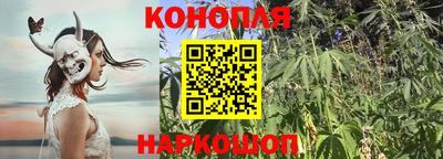 гидропоника Чебоксары