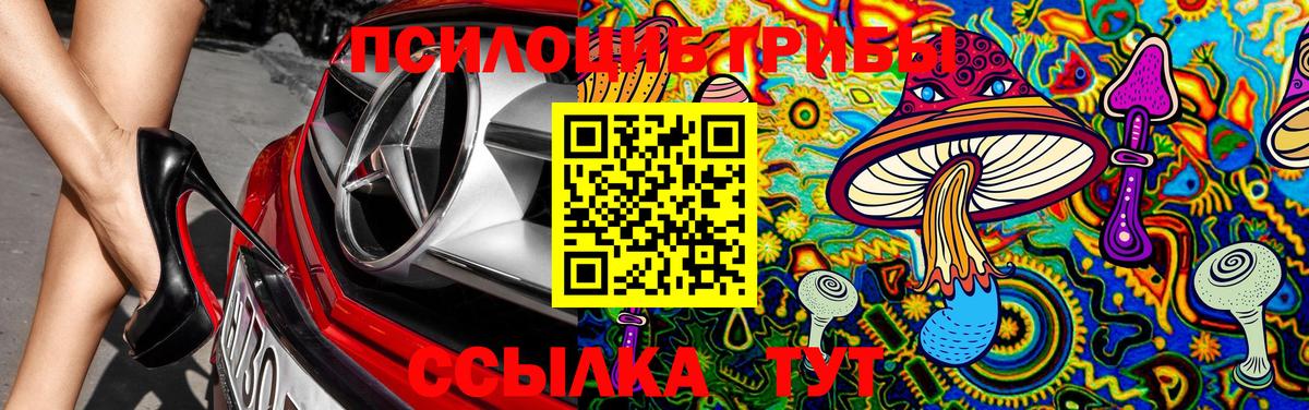 Галлюциногенные грибы Cubensis  Псилоцибиновые грибы MAGIC MUSHROOMS  Уссурийск  Вход с VPN 