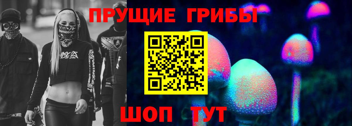 Псилоцибиновые грибы мицелий Уссурийск